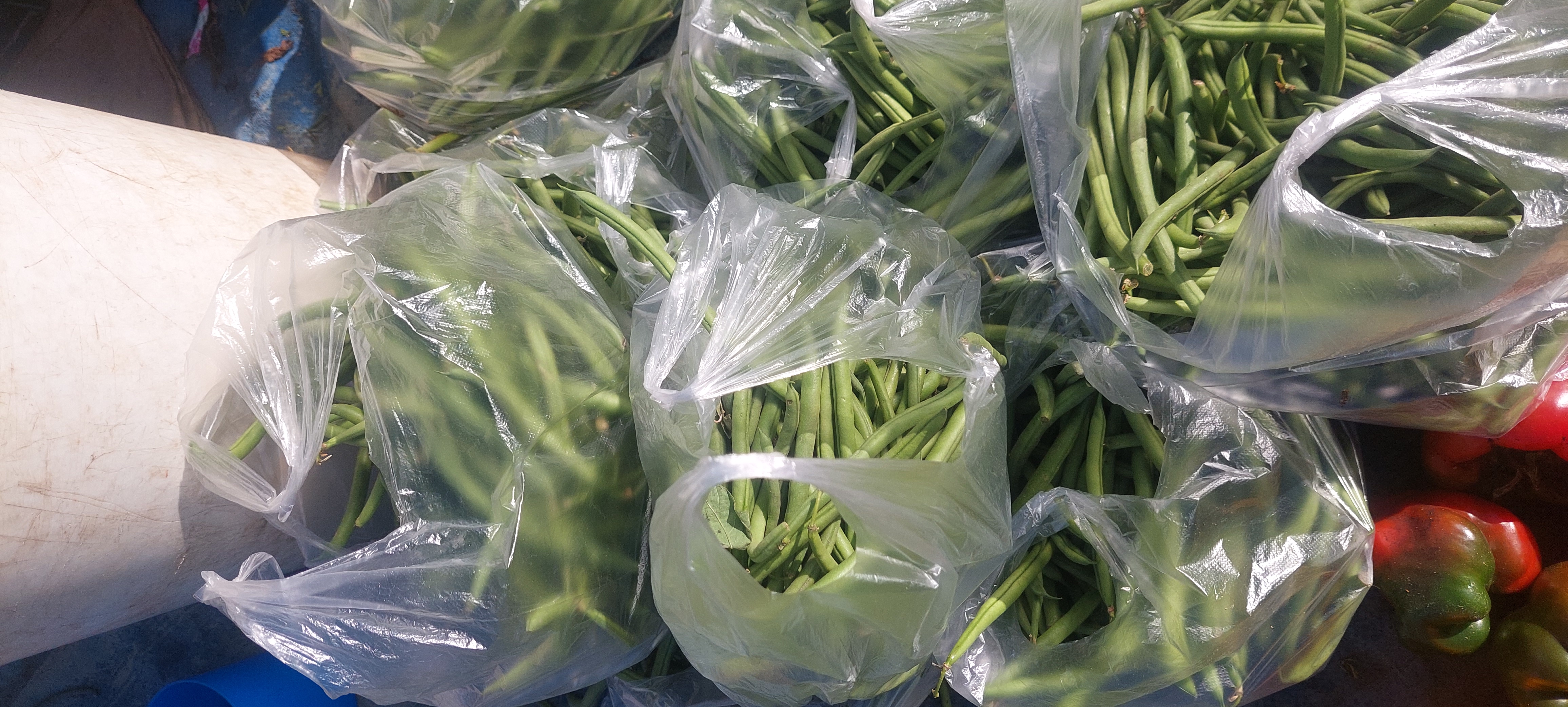 Green beans