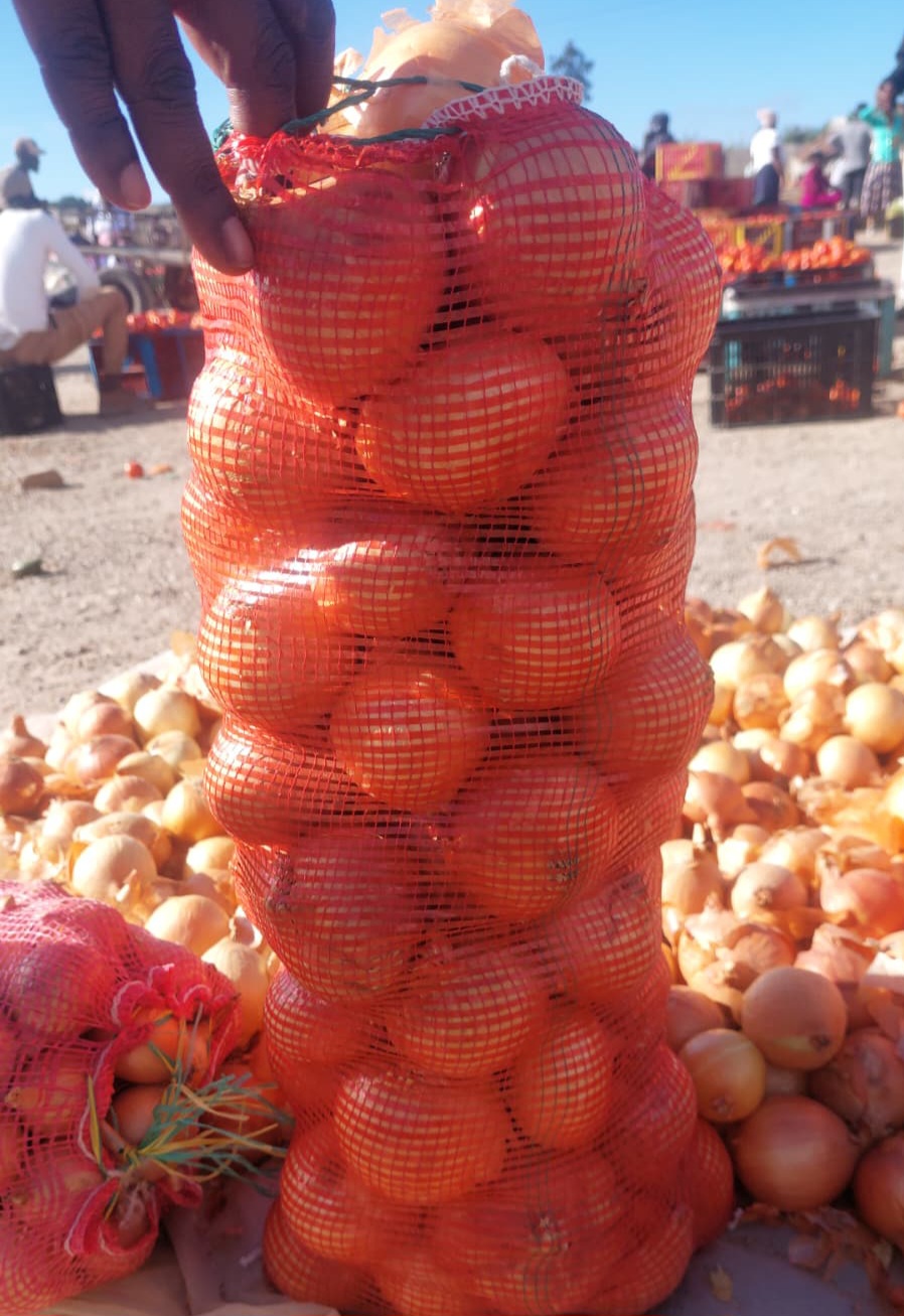 Fresh Onion Pack