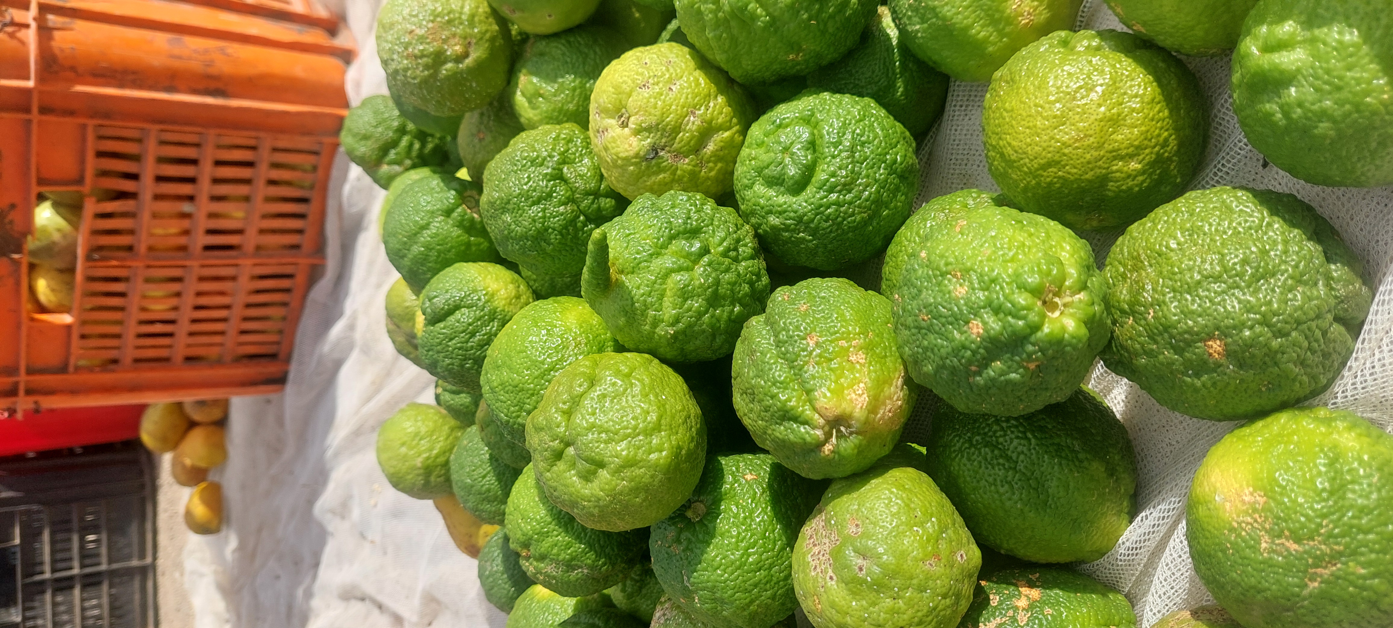 Lemons