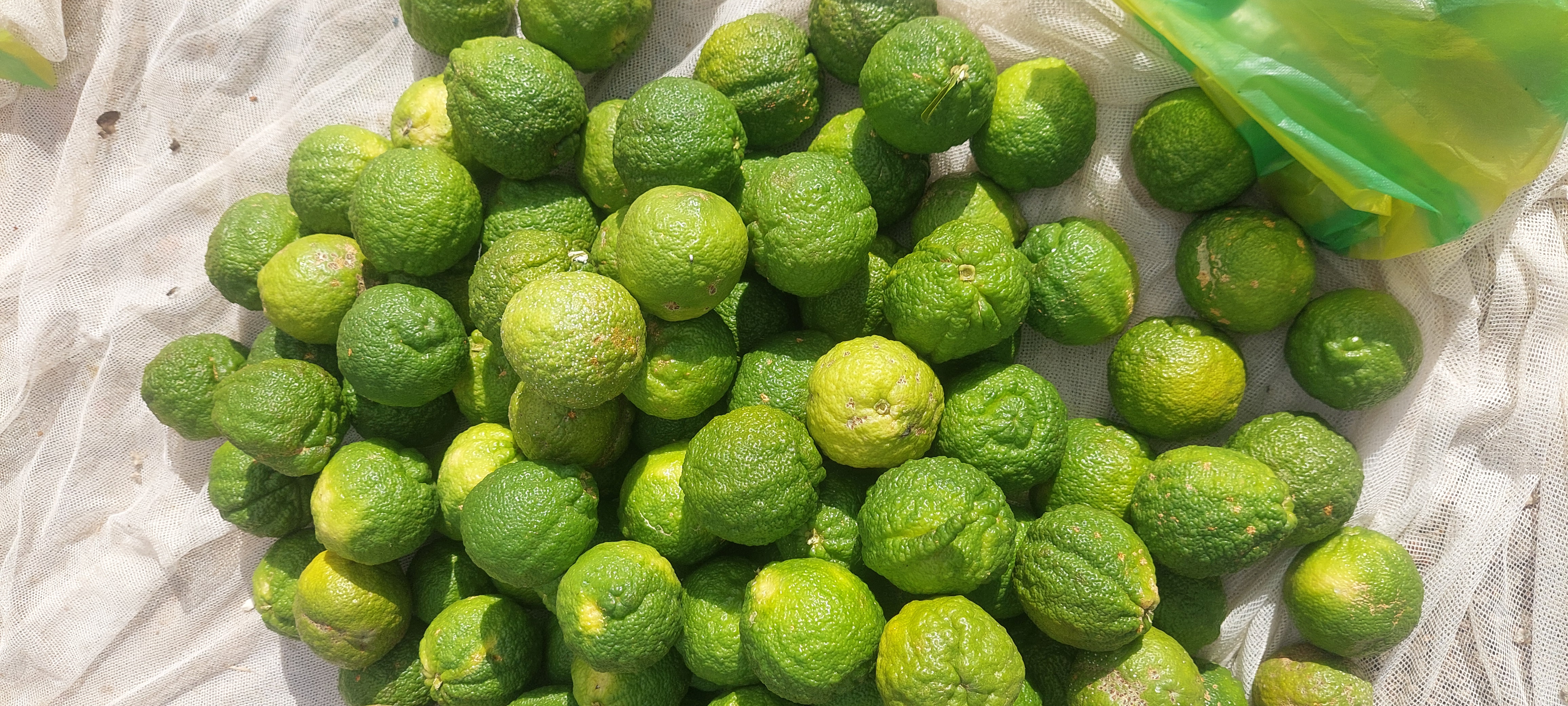 Lemons