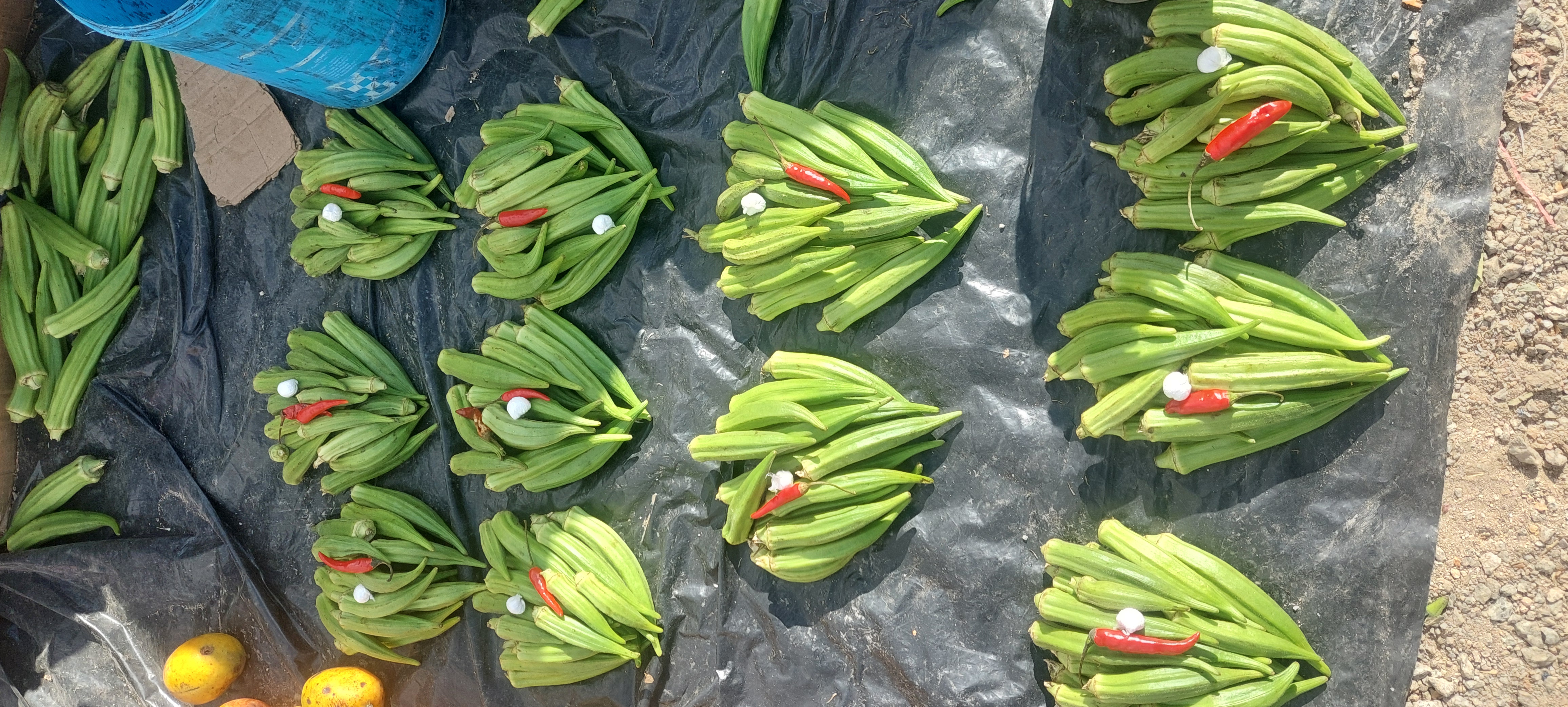 Fresh Okra Bundle with Red Chili & Soda