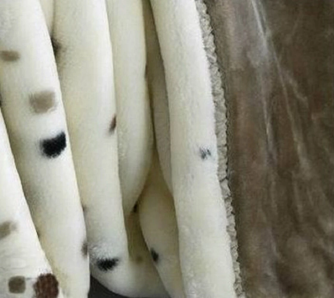 Korean Mink Fleece Organic King Blanket, 2 Ply Reversible Silky Soft Plush Warm