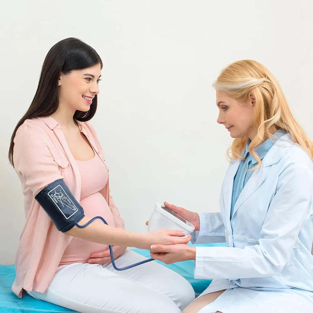 Portable Digital Blood Pressure Monitor (Arm Type)